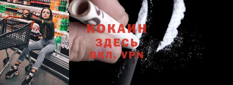 продажа наркотиков  Алапаевск  Cocaine FishScale 