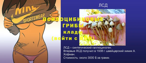 гашик Куйбышев