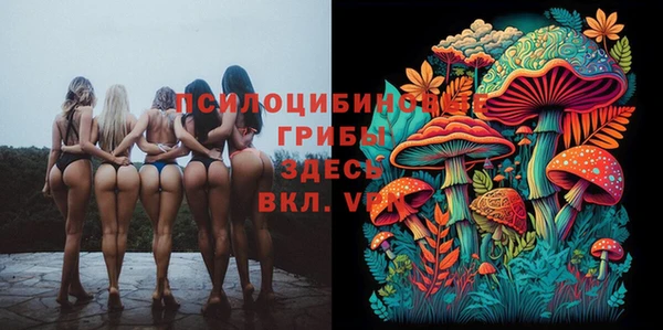 гашик Куйбышев