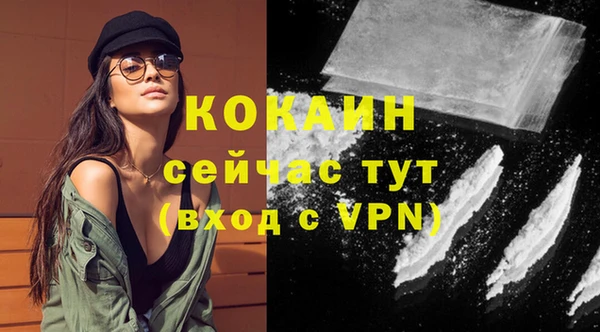 гашик Куйбышев