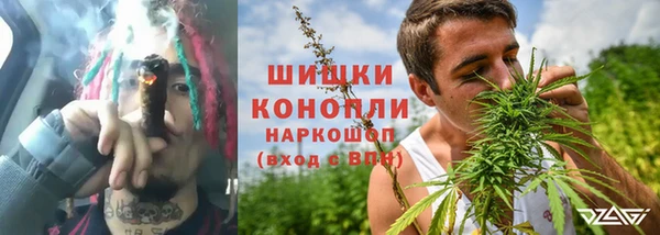 гидра Кострома