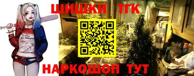 дживик Ирбит