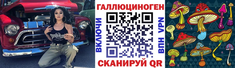цена   Алапаевск  Псилоцибиновые грибы мицелий 