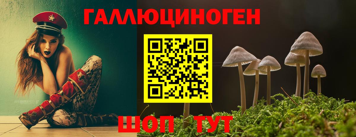 Псилоцибиновые грибы Psilocybine cubensis  Псилоцибиновые грибы Psilocybe  Алапаевск 