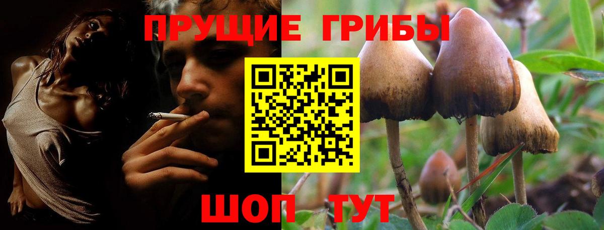 Бошки Шишки  Мефедрон  MDMA  Вход с VPN  Cocaine  Codein  Алапаевск  Гарик  Меф  Купить наркотик 